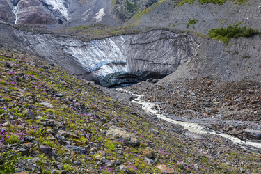 Similar image 8311451