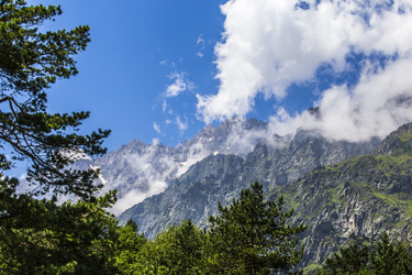 Similar image 8311453