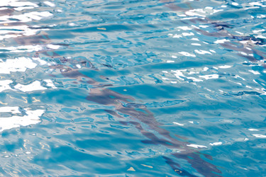 Similar image 8311503