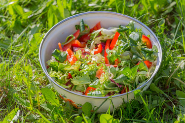 Similar image 8311528