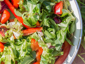 Similar image 8311529