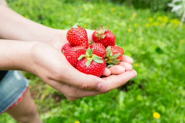 Similar image 8311537