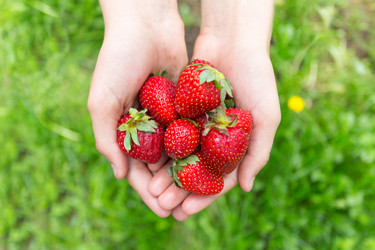 Similar image 8311558