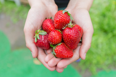 Similar image 8311683