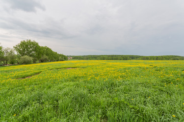 Similar image 8311688