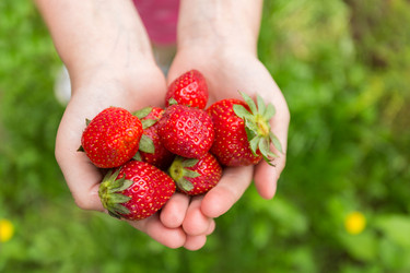 Similar image 8311692