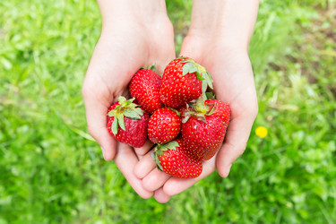 Similar image 8311696