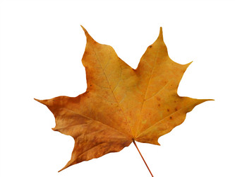 Similar image 8312068