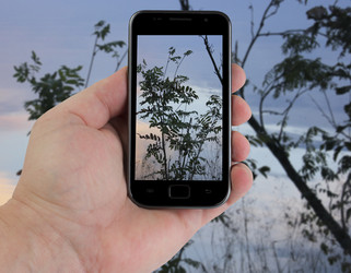 Similar image 8312187