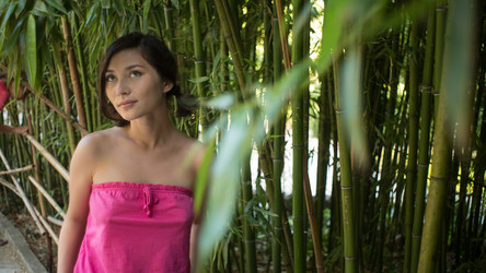 Similar image 8312329