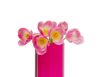 Similar image 8312426