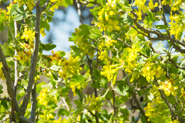 Similar image 8312504