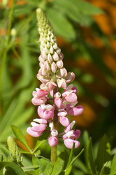 Similar image 8312991