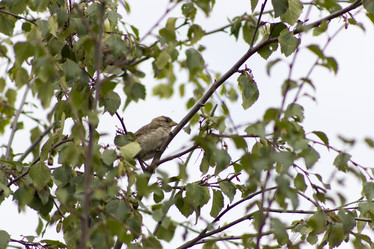 Similar image 8312995