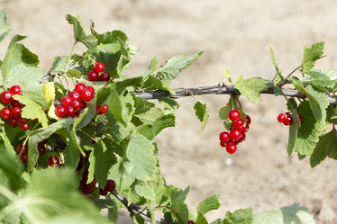 Similar image 8312997