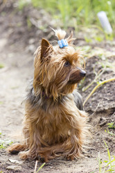 Similar image 8313000