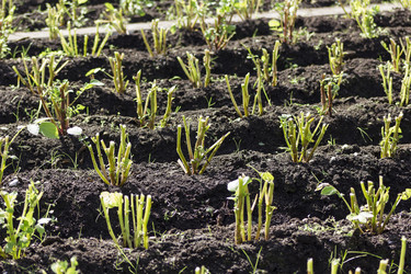 Similar image 8313002