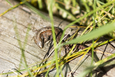 Similar image 8313003