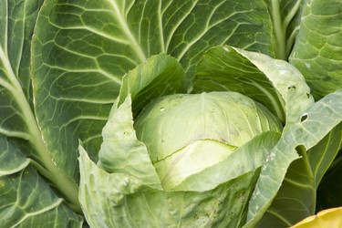 Similar image 8313004