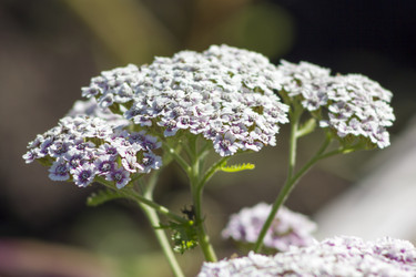 Similar image 8313005