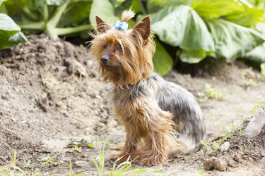 Similar image 8313027