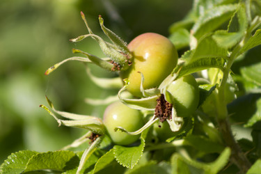 Similar image 8313028