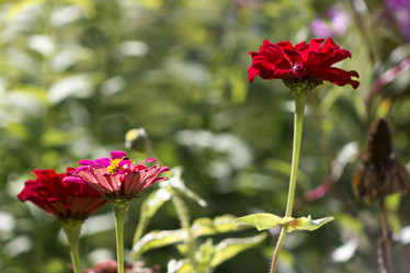 Similar image 8313029