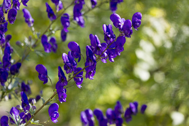 Similar image 8313030