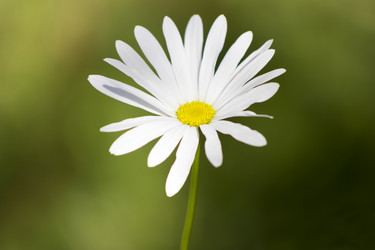 Similar image 8313031