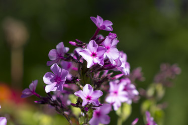 Similar image 8313032