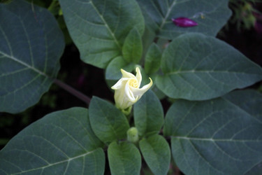 Similar image 8313034