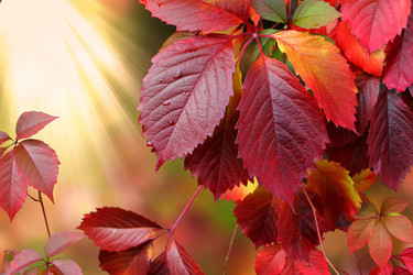 Similar image 8313103