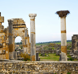 Similar image 8313521