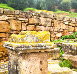 Similar image 8313523