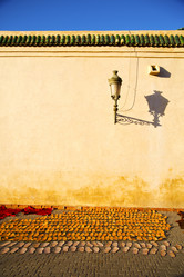 Similar image 8313550