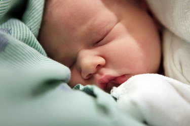 Similar image 8313587