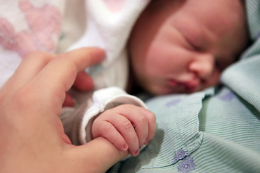 Similar image 8313601