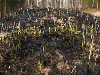 Similar image 8313882