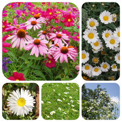 Similar image 8314095