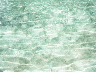 Similar image 8314102