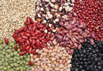 Similar image 8314417