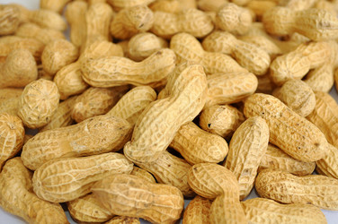 Similar image 8314423