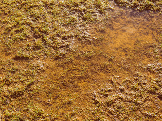 Similar image 8314464