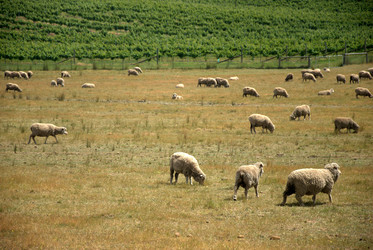 Similar image 8314531