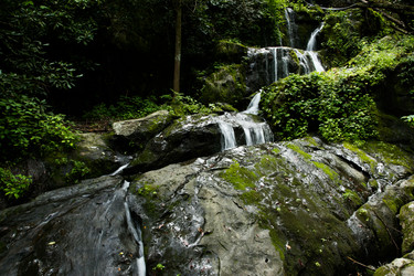 Similar image 8314554