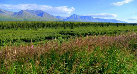 Similar image 8314558