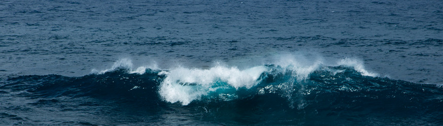 Similar image 8314573