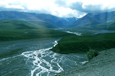 Similar image 8314584