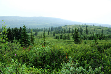 Similar image 8314589