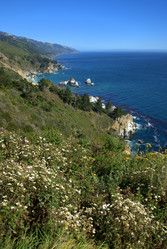 Similar image 8314593